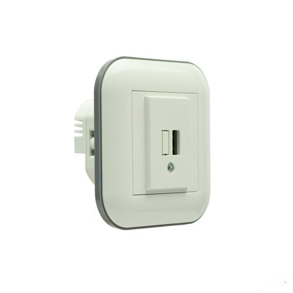 Розетка 1-USB Ovivo Electric LOFT біла+сіра 404-010303-245 фото
